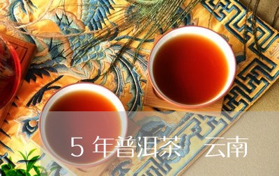 5年普洱茶 云南/2023041032612